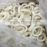 High Quanlity Frozen Squid Ring thumbnail-1