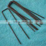 U STAPLES thumbnail-4