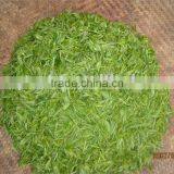 Green Tea/organic Green Tea/ thumbnail-1