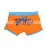 Cotton Underwear Wholesale Sexy Underwear For Kids Custom Underwear thumbnail-5