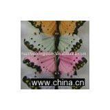 Feather Butterfly thumbnail-1