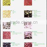 Organic Red Kidney Bean thumbnail-3