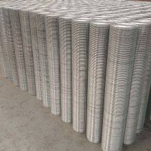 Welded Wire Mesh Welded Wire Mesh Sheets Iron Wire Mesh Supplier thumbnail-3