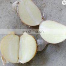Pure White Fresh Garlic Chinese Garlic thumbnail-3