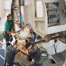 Factory Price Cattle Abattoir Equipment Cow Slaughtering Halal Killing Box For Bull Slaughtering Machine thumbnail-1
