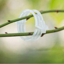 Secured Plastic Plant Clip, Plant Fixing Clips for Climbing Plants for Tomato thumbnail-5