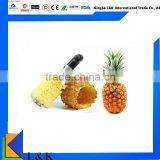 Stainless Steel Pineapple Peeler/pineapple Slicer Sword /pineapple Corer