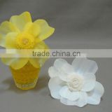 Natural sola flower diffuser