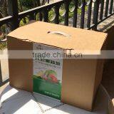 High Quality Kraft Paper Shipping Box for Vegetable