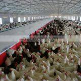 2014 Hot-sale Automatic Chicken Nest Box thumbnail-2