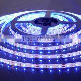 12V LED Strip Light SMD3528 5050 3014 5730 2835 STRIP LED LIGHT