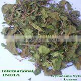 Gymnema Sylvestre / Gurmar / Periploca of Woods / Gymnema T Cut Leaves