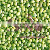 Green Mung Bean