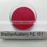 Manufactuerer Bulk-supply Anthocyanidinds Product Brazilian Acai berry Powder Extract with Anthocynidins 10%