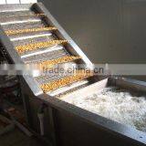 IQF Nameko thumbnail-5