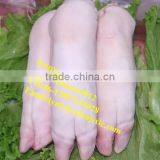 Stainless Steel Pig Trotter Hair Removing Machine