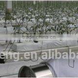 Truss Shape Trellising Hot Dipped Galvaniazed Cultivating Shelf Used in Greenhouse thumbnail-1