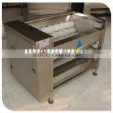 Ginger Processing Machine Industrial Ginger Washing Peeling Machine thumbnail-2