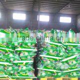 Good quality Detergent Powder cheap price washing powder