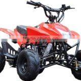 High Quality 110cc Automatic Sport ATV for Kids Drive (TKA110-A) thumbnail-4