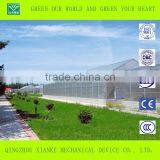 Agriculture Galvanized Steel Structure Greenhouse for Planting thumbnail-2