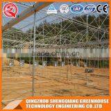 Multifunction Plastic Film Greenhouse for Vegetables Planting,flowers,culture thumbnail-3