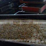 High Protein Dried Mealworms Wild Bird Food(freeze Dry) thumbnail-5