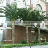 Home Garden Edging Decorative 5ft to 16ft Height Outdoor Artificial Green Plastic Palm Trees EDS06 0820 thumbnail-5