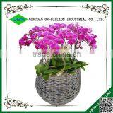 Cheap Cost Set of 2 Woven Wicker Flower Pots thumbnail-1