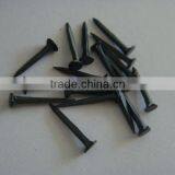 Cheap Price Wire Nails Shoe Nails Blue Tack Nails thumbnail-1