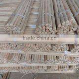 Wooden Stick for Broom Grass thumbnail-5