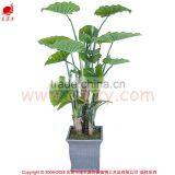 Indoor Home Decorative Artificial Bonsai Tree for Sale and for Hotel and House Landscape thumbnail-1