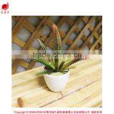Mini Potted Succulents Flowering Succulent Plants Preserved Mini Succulent Plants Bonsai thumbnail-1