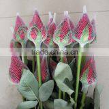Plastic Rose Bud Wrap Netting thumbnail-4