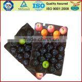 Plastic Sleeve Tray for Fruit thumbnail-1