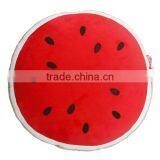 OEM Watermelon Polyester Custom Wholesale Sofa Foam Throw Pillow thumbnail-1