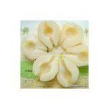 Sell Canned Pear thumbnail-1