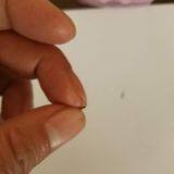 GR1 Titanium Capillary Tube for Medical thumbnail-3