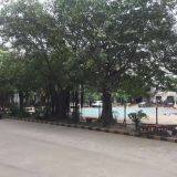 Fujian Quanzhou Jinchuang Handicraft Co.,ltd company overview - view 4 thumbnail