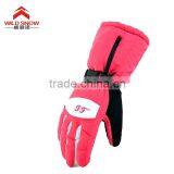 China Factory Made Waterproof Thinsulate Ski Gloves for Adults thumbnail-1