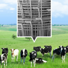 Field Fence Cattle Nets Grassland Fence Galvanized Steel Wire Material thumbnail-2