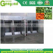 Raisin Dryer Mango Air Can Drying Room Hot Air Circulation Black Currant Dragon Fruit Drying Dehydration Equipment thumbnail-5