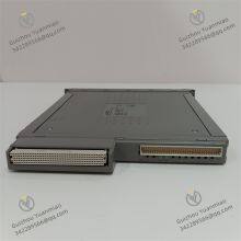 ICS TRIPLEX T8431 Analogue Input Module thumbnail-3