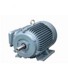 Ye5 Series National Standard Grade 1 Wannan Electric Motor Ye5-3551 2-8/220kw/250kw/660v/b3/ip65/b3/b35/b5, Customizable Upon Special Request thumbnail-4