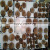 Beanie Fluffy Pom Pom in Natrual Color thumbnail-1