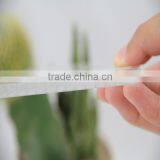 Polycarbonate Panel 8mm Clear Policarbonato Alveolar Polycarbonate Sheet thumbnail-6