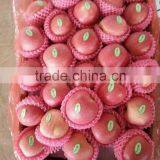 Top Quality thumbnail-3