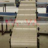 Plastic Inclined Conveyors for Different Industries thumbnail-1