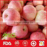 High Quality And Inexpensive Fresh Fuji Apples thumbnail-4