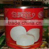 Best-selling Baiing Mushroom thumbnail-1